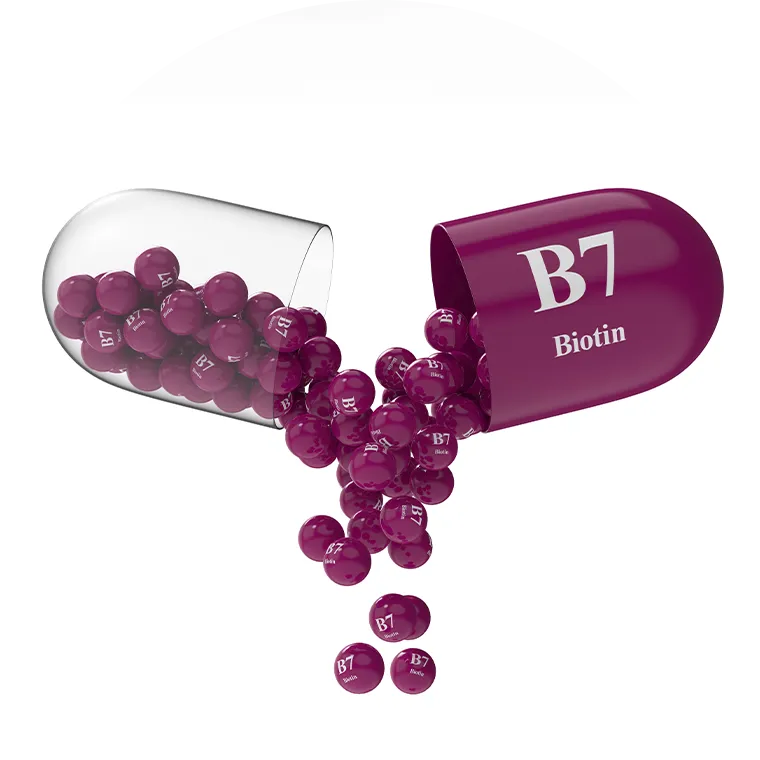 Biotin - Aufgabe und Funktion - Biotin für Haare, Haut & Nägel - Biotin-Tabletten