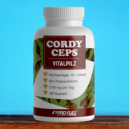Cordyceps Kapseln mit Cordyceps Sinensis-Extrakt - vegan & hochdosiert - Test-Sieger 2024