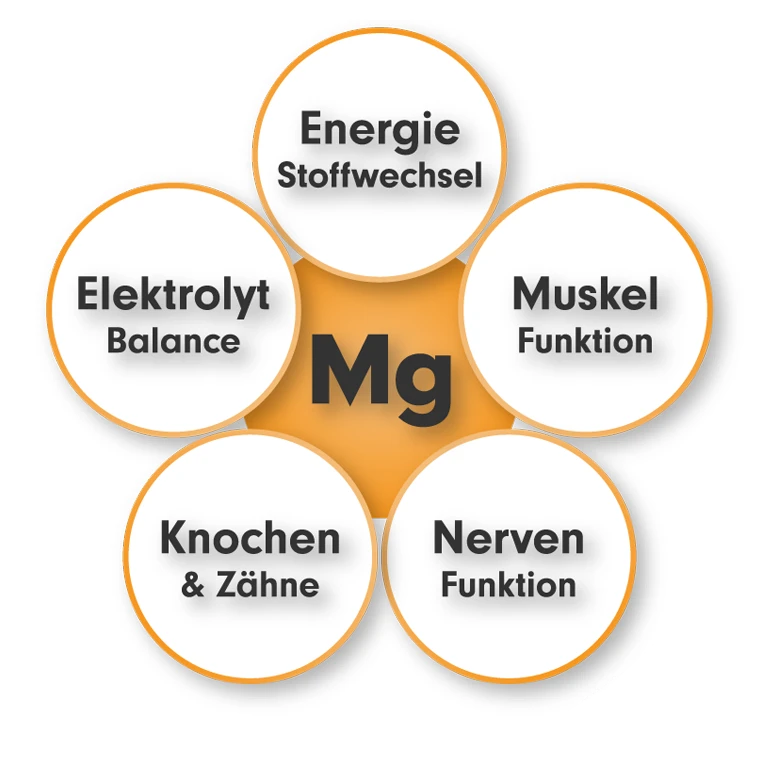 Magnesium Kapseln - Aufgaben, Funktion, Wirkung