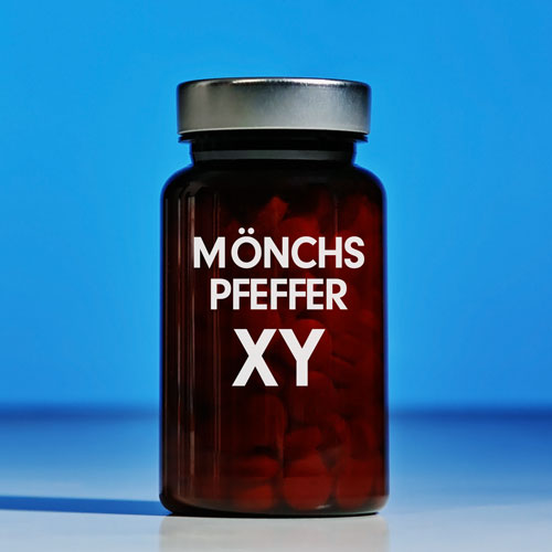 Mönchspeffer-Extrakt - Mönchspfeffer-Tabletten - PMS Support - Test / Vergleich