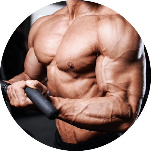 Weight Gainer vegan - Masse Gainer zum Muskeln aufbauen