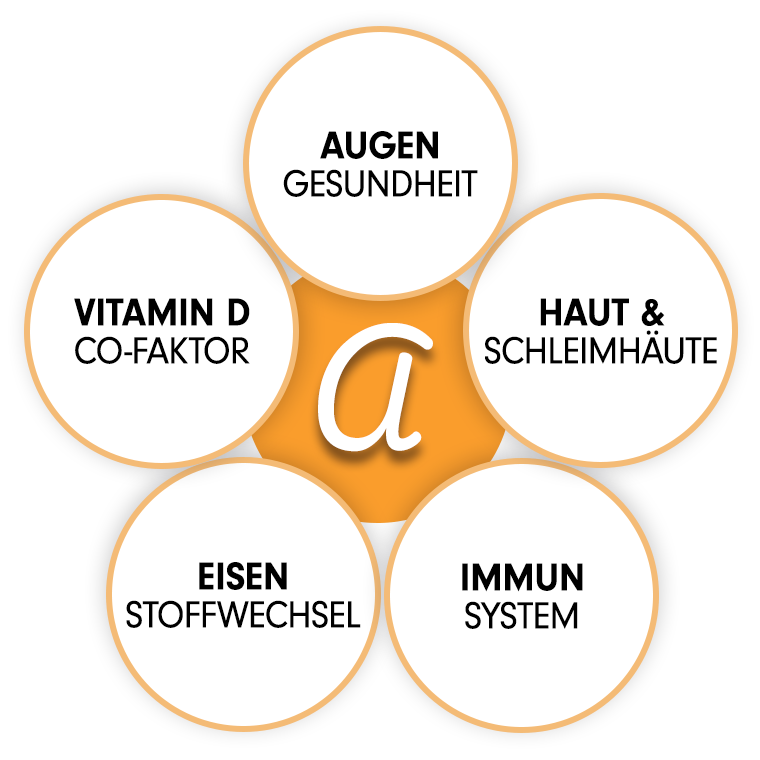 Vitamin A Tropfen - Aufgaben und Funktionen von Vitamin A
