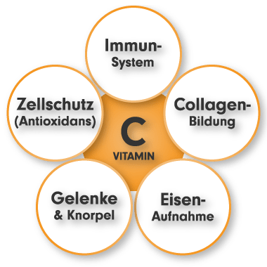 Vitamin C hochdosiert - Vitamin C Aufgaben und Funktionen