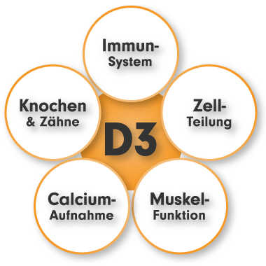 Vitamin D3 Wirkung - Aufgabe und Funktion von Vitamin D3 im Körper